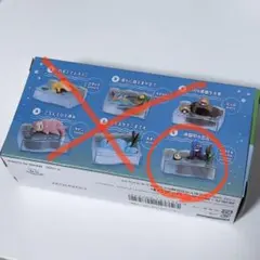 リーメント ポケモンのんびりタイム 川でひとやすみ