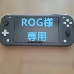 ROG様専用Nintendo Switch Lite グレー 本体