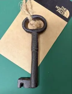 Item thumbnail for item c1987fb4-d88c-447e-bde5-b340782bf038