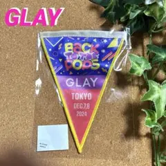 GLAY 函館限定 ガーランドバッジ 2026年最新】GLAY ガーランドの人気アイテム - メルカリ