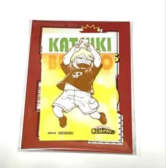 僕のヒーローアカデミア アートステッカー RIVALS 48種 全種セット 僕のヒーローアカデミア』アートステッカー －RIVALS－ 全種セット