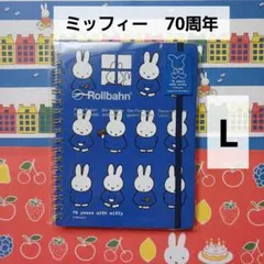 Item thumbnail for item 0ce5fca6-c399-4e20-adad-eee782eac5df