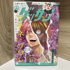 ゲッサン 2025年 8月号 大ダーク 林田球 ドロヘドロ