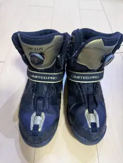 Item thumbnail for item 681d3b25-7766-410e-a80d-d162c42f64ab