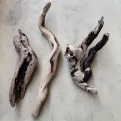 天然流木3点セットアク抜き済み流木 爬虫類シェルター 登り木生け花 アクアリウム