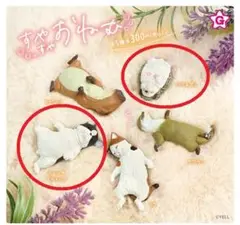 すやすやおねむ　2種セット　【未開封・新品】　エール
