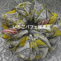 専用ページ