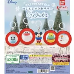 ディズニーキャラクター めじるしアクセサリー winter