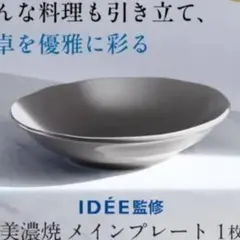 Attenir アテニア　IDEE監修　美濃焼メインプレート　“毎日を彩る器”のサムネイル