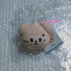 straykids スキズ スンミン KARMA SKZOO ネームタグ