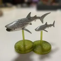 ジンベイザメ 親子フィギュアセットお値下げ
