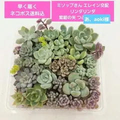 あ、aoki様 リクエスト 2点 まとめ商品