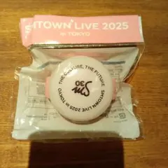 smtown 2025 ペンライト