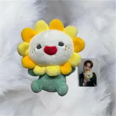 Bira ビラ ぬいぐるみ 61dJ+cRaahL._UF350,350_QL50_.jpg