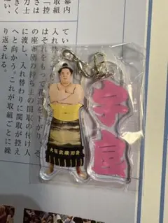 相撲キーホルダー 宇良