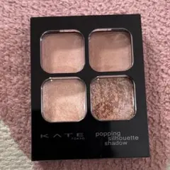 ケイト　ポッピングシルエットシュドウ　OR-1