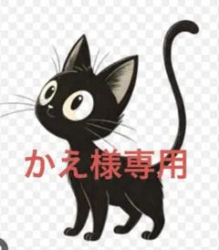 かえ様専用出品