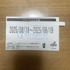 ディズニー バケーションパッケージ フリードリク券