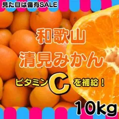みかん 10㎏ 清見みかん 蜜柑 減農薬 濃厚 甘い オレンジ 産地直送