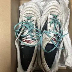 Item thumbnail for item 4726ddb0-4e7c-40da-b89c-96e6e4fa7178