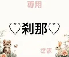 専用