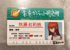 シュタゲ ファイナルミッション 缶バッジ B賞 ラボメンカード 牧瀬紅莉栖 シュタインズゲート ファイナルミッション B賞 ラボメンカード 牧瀬紅