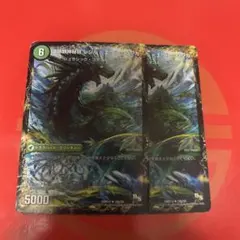 エウルブッカ　２枚