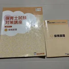 保育士試験対策講座　四谷学院テキスト(20冊) 保育士試験対策講座 四谷学院テキスト(20冊) 保育士試験対策講座