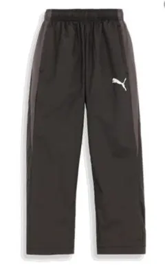 Item thumbnail for item 95c97928-5eb6-466b-b4ab-514dc077dbec