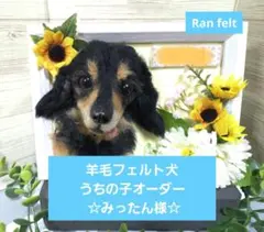 羊毛フェルト犬 うちの子オーダー ☆みったん様☆