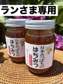 ハチミツ 日本蜜蜂の蜂蜜 奥山の奥のはちみつ 1本花粉入り - メルカリ