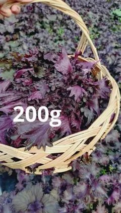 赤紫蘇 200gです！のサムネイル