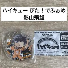 ハイキュー 影山 飛雄 アクキー