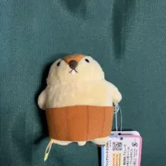 【未使用】マーモットのもっとっと　へそ天VMC