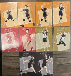 ハイキュープラザ　購入特典　ポストカード　全10種