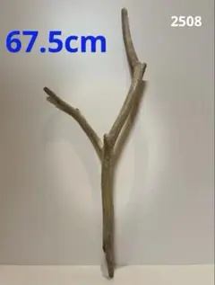 Item thumbnail for item 4bb79555-63c1-4538-b568-394fe1ae2ab9