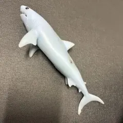 ホホジロザメ スーパーアニマル　&co デアゴスティーニ　アンドコ