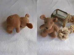 Item thumbnail for item a92b3d91-b9c5-48ff-bbae-323fb74ec1ac