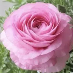 まこと様 リクエスト 4点 まとめ商品