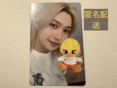 フィリックス　felix zootopia コラボ 購入特典　トレカ