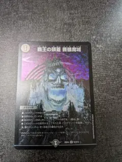 覇王の頭蓋 髑髏魔城　ドクロ魔城 どくろまじょう