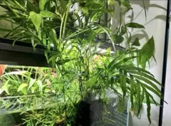 プロフ必読●undermywheels様 リクエスト 3点 まとめ商品