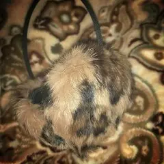 Heartdevelopment イヤマフ 新品未使用✨