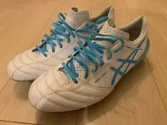 asics DS Light Ｘ-FLY
