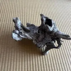 流木　インテリア装飾　アク抜き