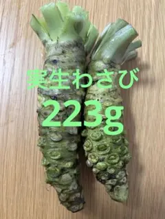 実生わさび 静岡県静岡市産 250gのサムネイル
