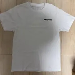 美品 patagonia パタゴニア Tシャツ ホワイト メンズMサイズ