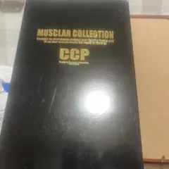 CCP CMC NO.44 ロビンマスク 原作 JCS メタリックカラー
