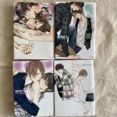 【9/19まで値下げ】美しい彼 小説 ４冊セット