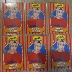 猪狩蒼弥 プロフィールカード 6枚